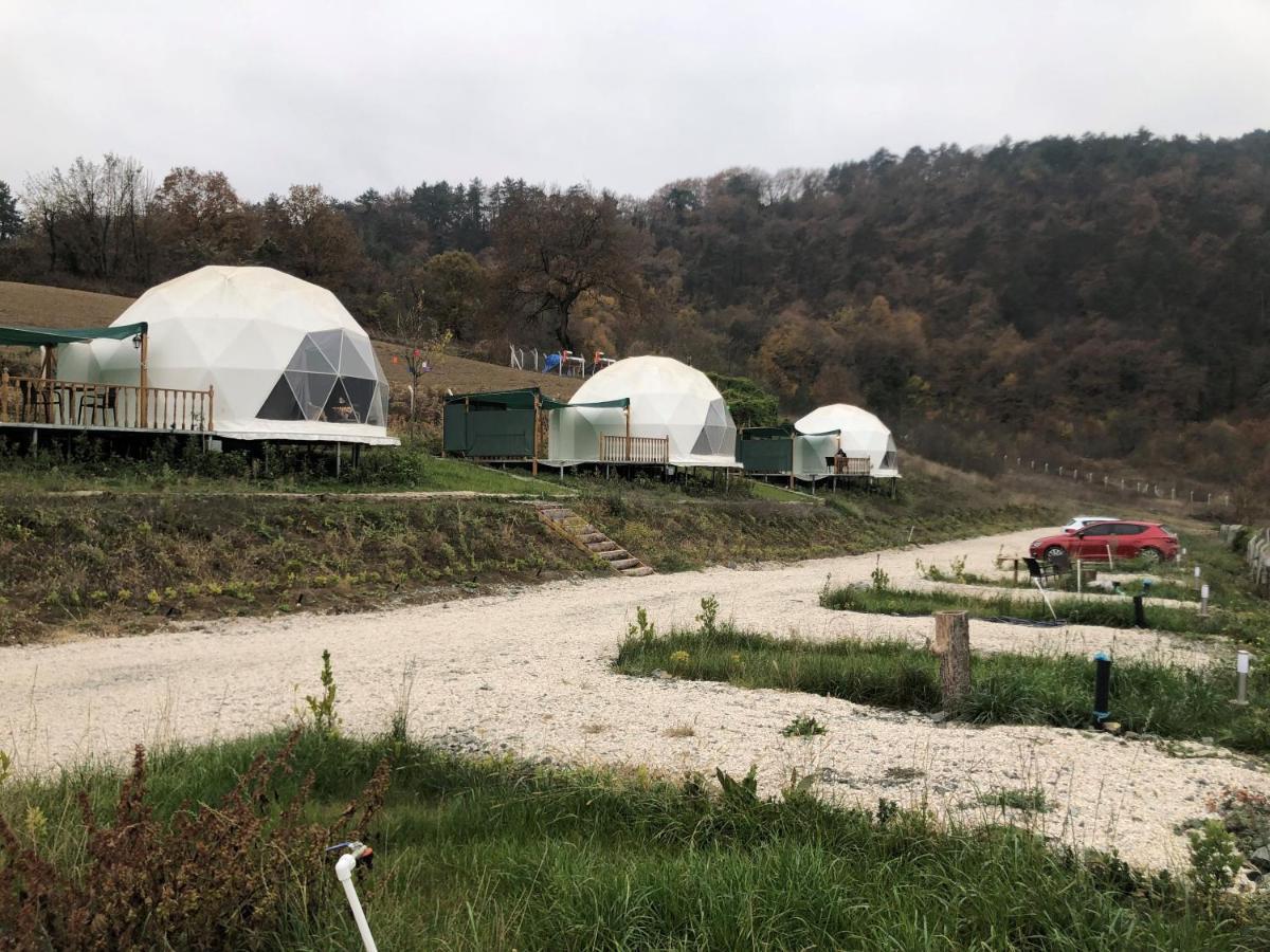 فندق Dengekoru Wildlife & Glamping مودورنو المظهر الخارجي الصورة