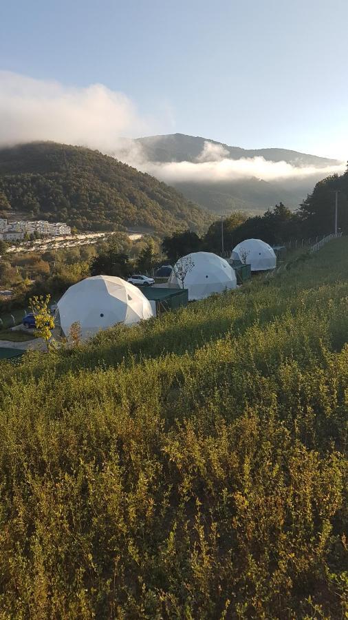 فندق Dengekoru Wildlife & Glamping مودورنو المظهر الخارجي الصورة