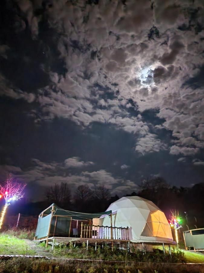 فندق Dengekoru Wildlife & Glamping مودورنو المظهر الخارجي الصورة