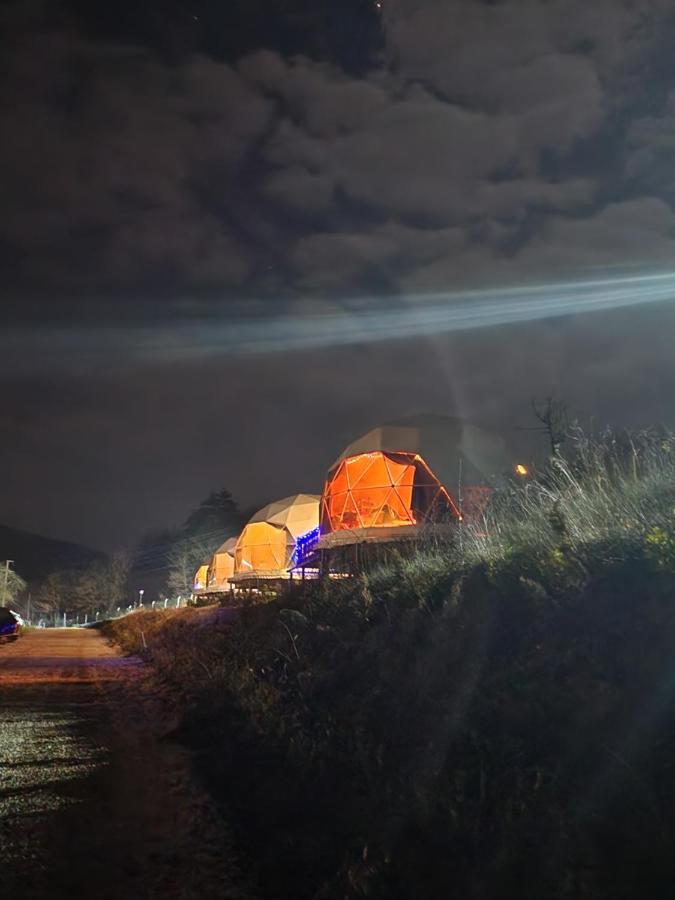 فندق Dengekoru Wildlife & Glamping مودورنو المظهر الخارجي الصورة